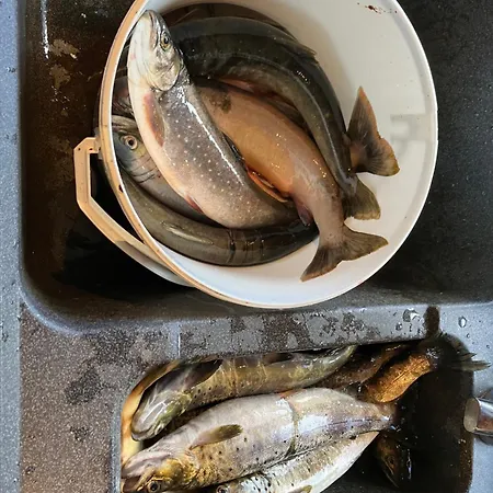 Rondane - Ovre Nordli Sollia Friluftsliv