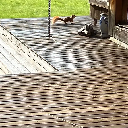 Rondane - Ovre Nordli Sollia Friluftsliv *