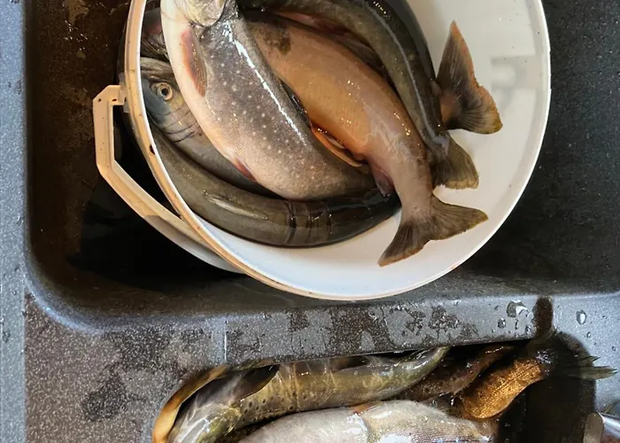 Rondane - øvre Nordli Sollia Friluftsliv