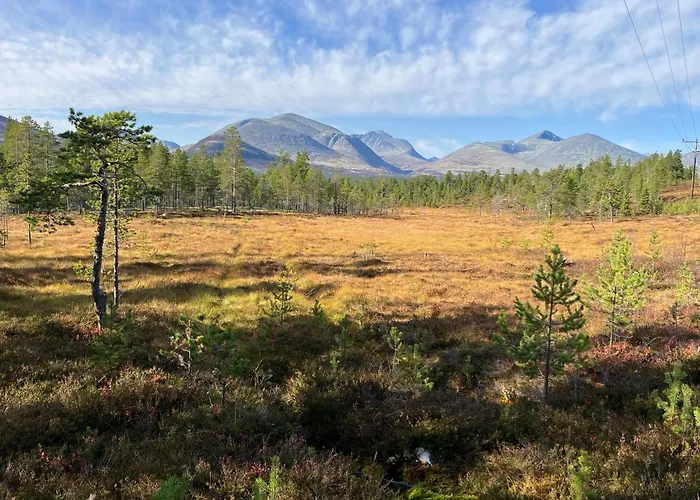 Feriehus Rondane - øvre Nordli Sollia Friluftsliv *