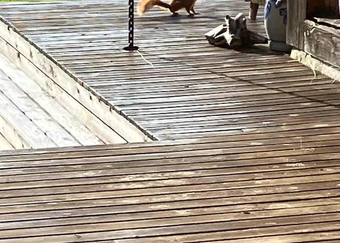 Rondane - øvre Nordli Sollia Friluftsliv *