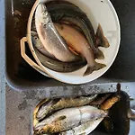 Rondane - Ovre Nordli Sollia Friluftsliv